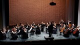 Antonín Dvořák - Serenade for strings in E major - IV movement