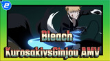 Bleach|[BLEACH AMV]Kurosaki Ichigo vs Ginjou Kuugo_2