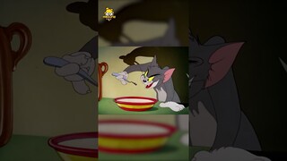 [Tập 1] TOM & JERRY: Top 50 Sự Thật Thú Vị - Phim Hoạt Hình Tuổi Thơ | meXINE