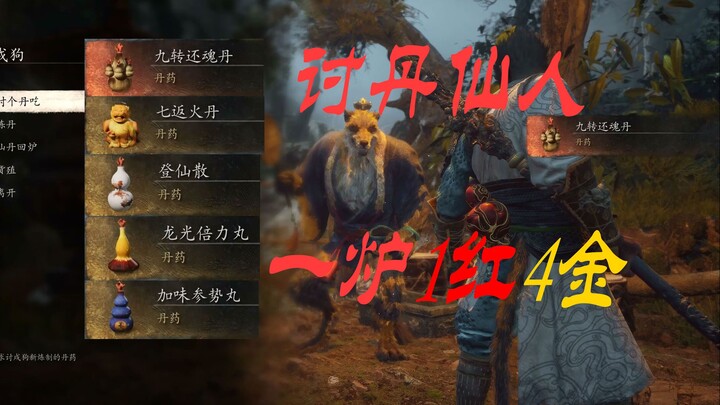 讨丹仙人一炉1红4金，戌狗的野爹天命人