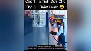 Câu chuyện cảm động của chua tinh tinh và chú chó 🐶 mereviewphim nntreview2 reviewphim vulaci