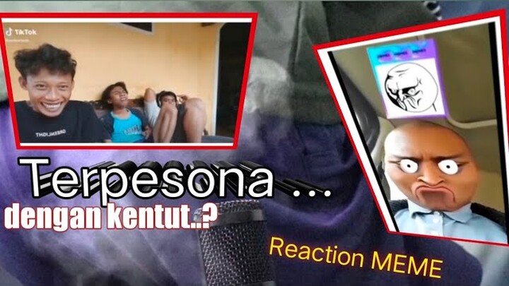 Tepesona Aku tepesona  Reaction Tiktok..- Novan Karyadi