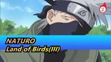 NATURO|[Kakashi]Land of Birds(III)Battle with the wandering Ninja_A2