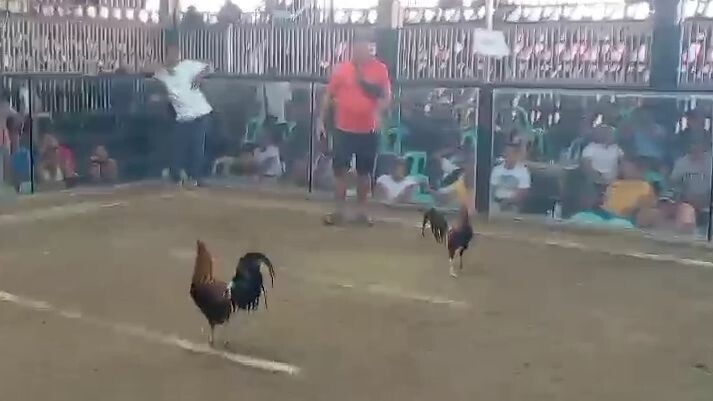 Straight 5K Sweater | 2nd Fight @ 2 Hits Ulutan sa Pangasinan