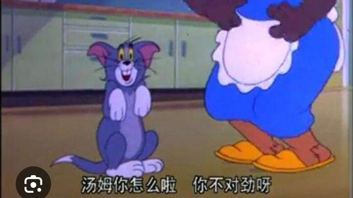 白人夫妻天天出去开派对 黑人大妈餐餐做美食   单从猫和老鼠当中就能看出美国种族差异 (2-20)