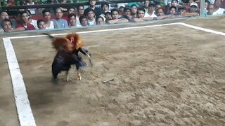 Naka una pero di nka huli, 4line bone crusher vs maper alvarez @ Fantastic col.