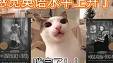 [Cat meme] Một thoáng nhìn vào hiệu sách đã đi suốt cuộc đời tôi