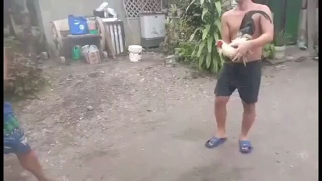 #white leg red sparring time 04/06/2025