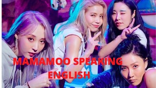 MAMAMOO ENGLISH QUEENS