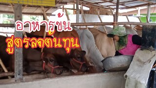 สูตรอาหารข้นลดต้นทุน กับ กนกฟาร์ม