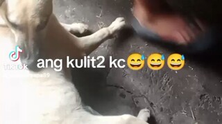 ang kulit