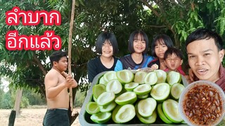 ไปเก็บมะม่วงป่ากินกับน้ำพริกแซ่บๆห้ามพลาด