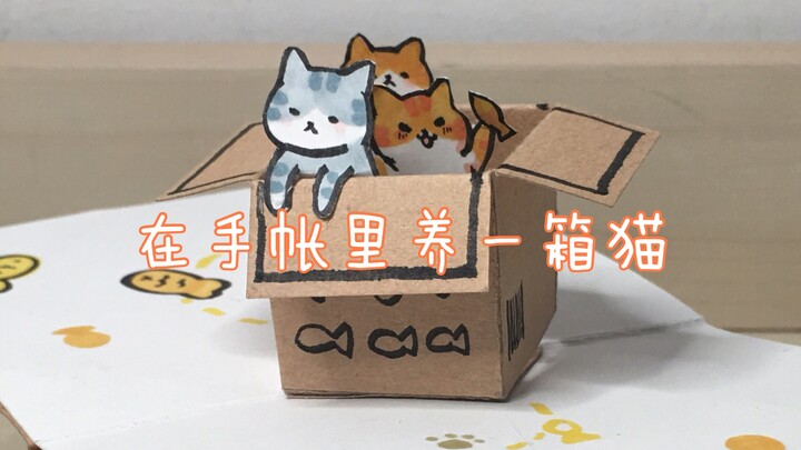 Hand account small organ cat box pop-up book tutorial