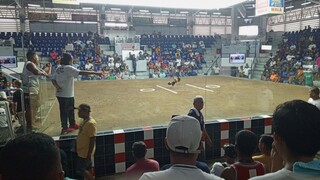 New Montalban Cockpit Arena / May 11 2024 fight #4