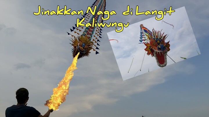 Dunia Layangan || Jinakkan Naga Buas di Langit Kaliwungu