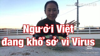Người Việt ở Pháp lao đao vì virus 🦠 | kinh doanh tuột dốc không phanh | Gerardo LC