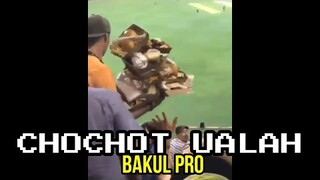 BAKUL PRO | CHOCHOT UALAH 25