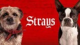 Strays - Watch Full Movie : Link link ln Description