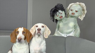 Dogs vs Zombie Twins เล่นตลก! สุนัขตลก Maymo และ Pot Pie รับ Zombie Babies