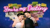 YOU'RE MY DESTINY EPISODE 24 (TAGALOG DUBBED)