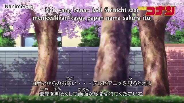 Detective conan memories from sakura