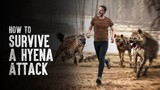 How to Survive a Hyena Attack
