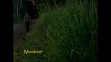 Adarna-Full Episode 44