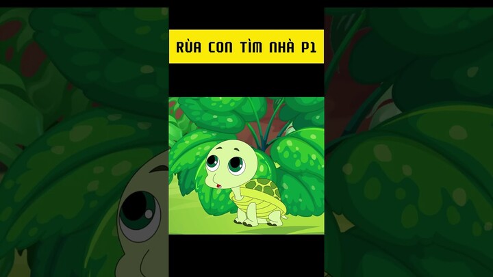 Rùa con tìm nhà P1  #memes #quatangcuocsong #phimhoathinh