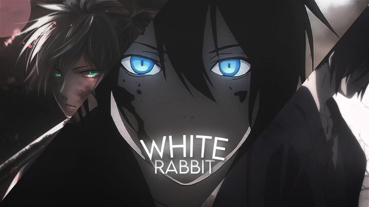 Yato Noragami White Rabbit Amv Edit