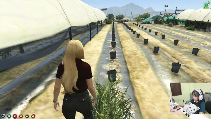 BERTANI DI GTA ROLEPLAY