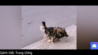 Tuy mình đói, nhưng cái này mình chê nha #funny