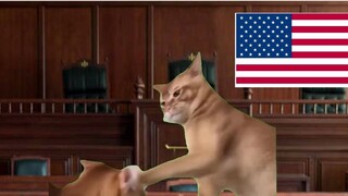 【Cat meme】Japan's 731 incident topped the overseas hot search list, and American netizens reacted in