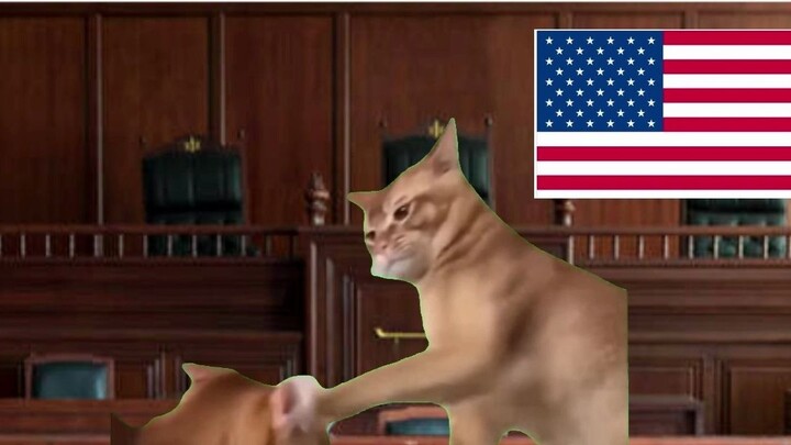 【Cat meme】Japan's 731 incident topped the overseas hot search list, and American netizens reacted in