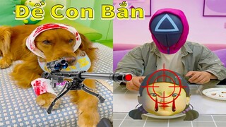 Thú Cưng TV | Đa Đa Thánh Chế #21 | Chó Golden Gâu Đần thông minh vui nhộn | Pets cute smart dog