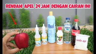 NGERI!.. 24 JAM DIRENDAM, Buah Apel jadi seperti ini #experiment