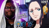 The Will of Ohara! The Inherited Research | One Piece Ep 1097 Reaction
