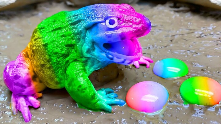 Rainbow Frog Trap - God Apple eats Crocodile, Catfish- Stop Motion Cooking ASMR