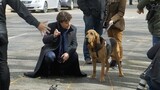 [Thám tử Sherlock] Bắn súng với con chó và mẩu giấy