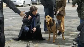 [Detective Sherlock] Shooting with the dog and tidbits