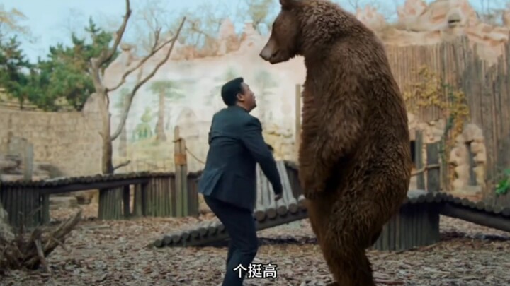 贾冰打假动物园，没想到打到真熊，救命啊。