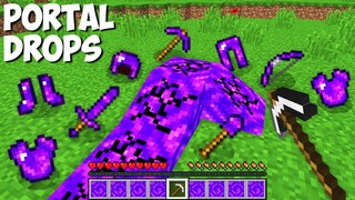 How to MINE PORTAL and GET PORTAL DROPS in Minecraft ? SECRET PORTAL ITEMS !