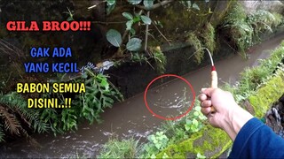 MANCING BABON NILEM TEPAT DISARANGNYA!!