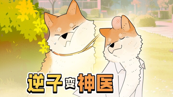 狗：这届主人真难带，还得我开药方！