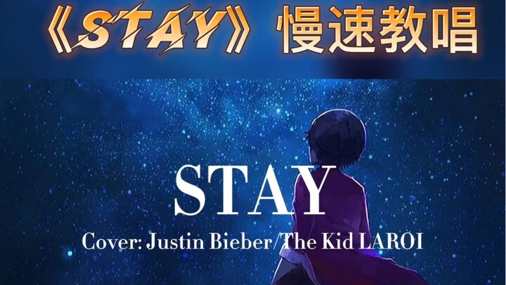 《stay》小比伯版慢速教程