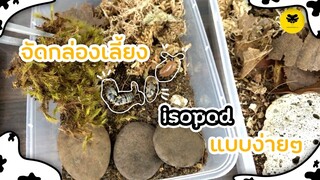 [ISOPOD]EP5 จัดกล่องไอโซพอด+วิธีพรมน้ำ + วิธีจัดการกับmites BY SHOCKERBALLS