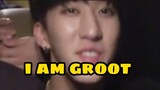 stray kids’ i am groot era (stray kids on crack)