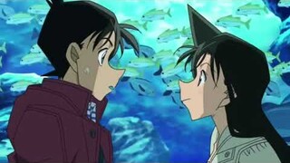 Ran x Shinichi AMV (Me and my broken Heart)