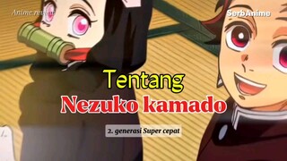 mengenal nezuko kamado