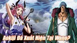 Sự Xuất Hiện Của Aokiji Tại Wano? – Yamato Và Nhật Ký Hải Trình Của Oden | Phân Tích One Piece 984