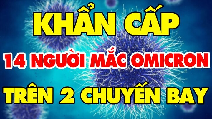 🔥 Tin Cực Nóng Covid-19 Ngày 3/12 | Thông tin khẩn từ Bộ Y tế | Tin Tức 247